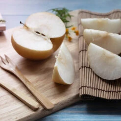 20th Century (Nijisseiki) Asian Pear Tree -Fast Growing Trees Shop 20thCentury Pear 1 FGT 6807a32e cb1f 4918 97d7 0be553512605