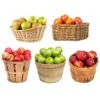 5-in-1 Apple Tree -Fast Growing Trees Shop 5 in 1 Apple 600x600 7aa95aa9 ebc1 4f49 a1e8 94e9b1d7155c