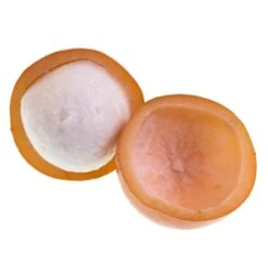 Achacha Fruit Tree -Fast Growing Trees Shop Achacha 2