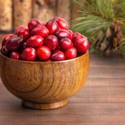 American Cranberry 11 American Cranberry -Fast Growing Trees Shop American Cranberry 6 FGT