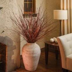 Arctic Fire® Red Twig Dogwood 10 Arctic Fire® Red Twig Dogwood -Fast Growing Trees Shop Arctic Fire Twig Dogwood 6 FGT