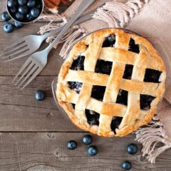 Aurora Blueberry Bush -Fast Growing Trees Shop Aurora Blueberry 5