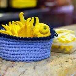 Buddha's Hand Citron -Fast Growing Trees Shop BUddhas Hand Citrus 6 FGT