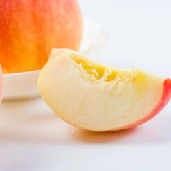 Belle Of Georgia Peach Tree -Fast Growing Trees Shop Belle of Georgia 3 ea75db8c 1c8e 47c4 9aac 3f7fe043655e