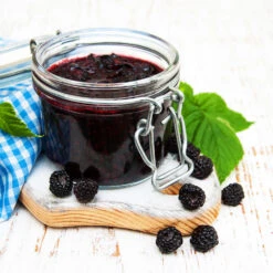 Big Daddy Blackberry Bush -Fast Growing Trees Shop Big Daddy Blackberry 3