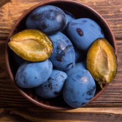 Brooks Plum Tree -Fast Growing Trees Shop Brooks Plum 2