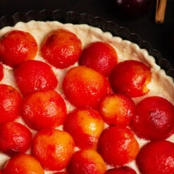 Bubblegum 'Toka' Plum Tree -Fast Growing Trees Shop Bubblegum Toka Plum 3