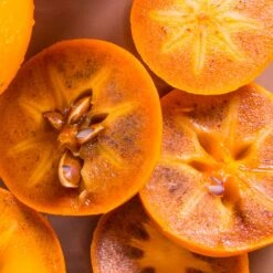 Chocolate Persimmon Tree -Fast Growing Trees Shop CHocolate Persimmon 2