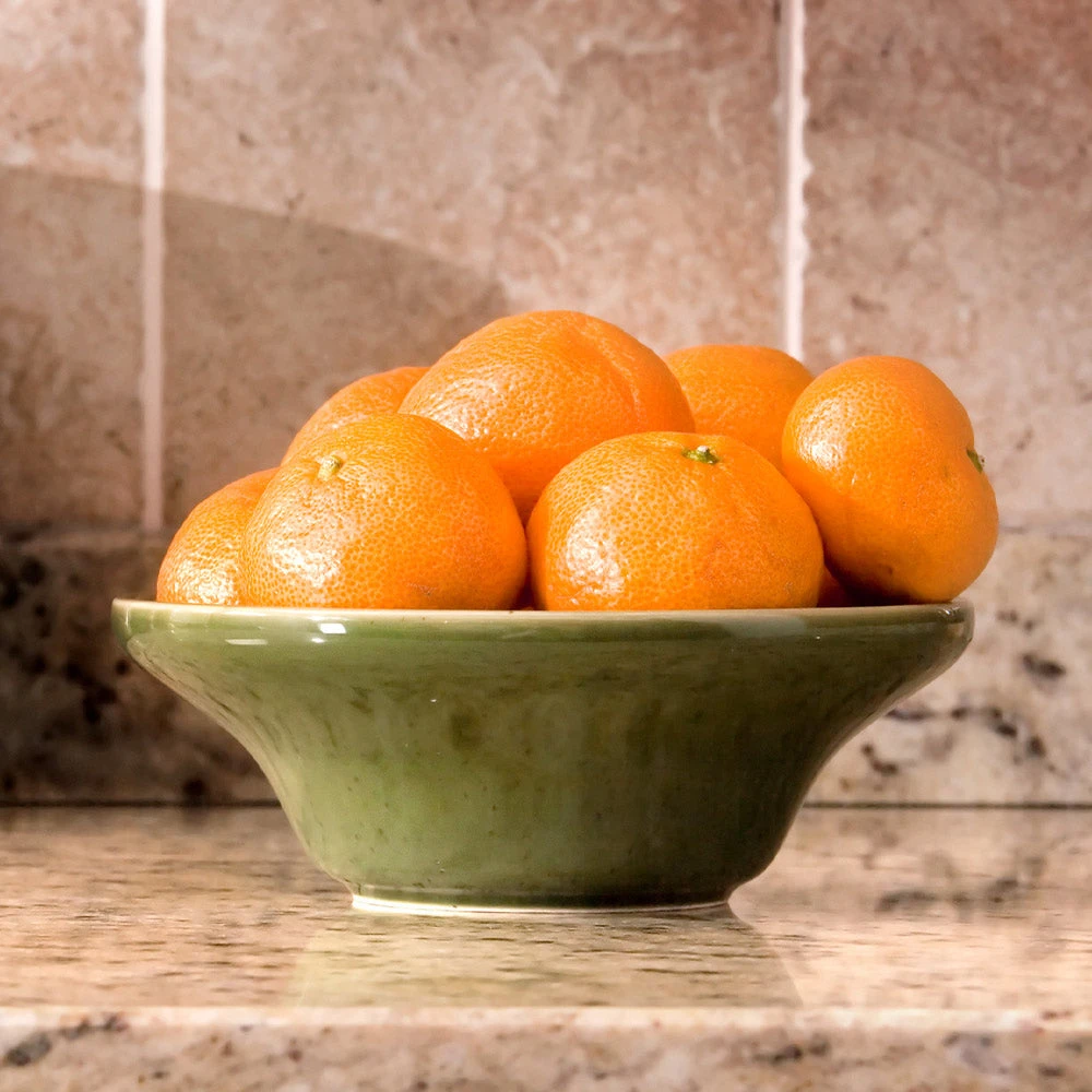 Calamondin Bush 4 Calamondin Bush - Image 4