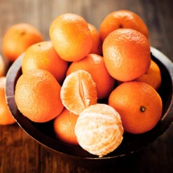 California Honey Mandarin Tree -Fast Growing Trees Shop California Mandarin 5