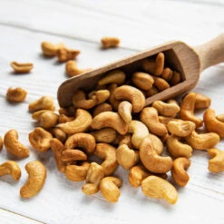 Cashew Tree -Fast Growing Trees Shop Cashew Nut Tree 5