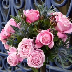 Cathedral Bells Rose 6 Cathedral Bells Rose -Fast Growing Trees Shop Cathedral Bells Rose Tree 2