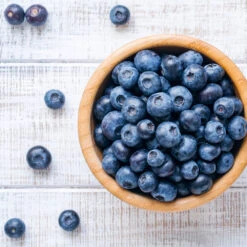 Climax Blueberry 10 Climax Blueberry -Fast Growing Trees Shop Climax Blueberry 4