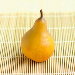 Comice Pear Tree -Fast Growing Trees Shop Comice Pear 2 FGT bed8e3b3 6b31 43c6 9eb7 82aa992926bb