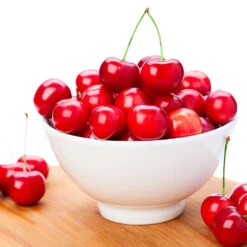 Coral Champagne Cherry Tree 6 Coral Champagne Cherry Tree -Fast Growing Trees Shop Coral Champagne Cherry Tree 4 FGT