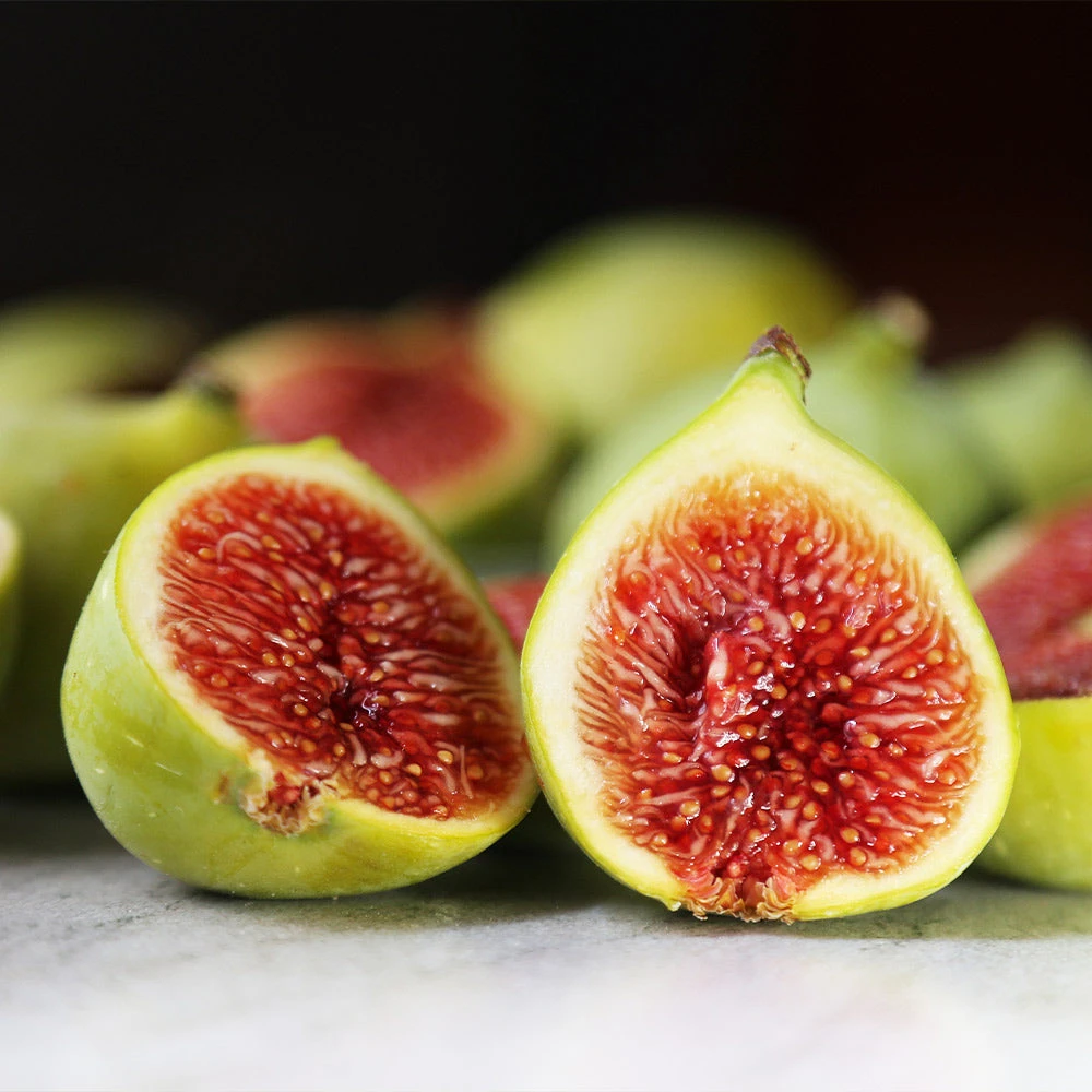 Desert King Fig Tree 4 Desert King Fig Tree - Image 4