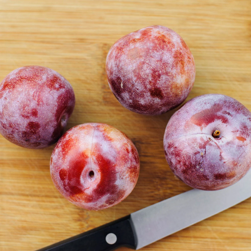 Dapple Dandy Pluot Tree 3 Dapple Dandy Pluot Tree - Image 3