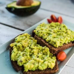 Condo™ Avocado Tree -Fast Growing Trees Shop Day Condo Avocado 2