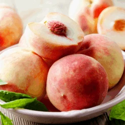 Early White Giant Peach Tree 5 Early White Giant Peach Tree -Fast Growing Trees Shop Early White Giant Peach Tree 450 D1