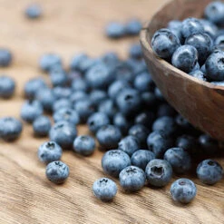 Emerald Blueberry Bush 5 Emerald Blueberry Bush -Fast Growing Trees Shop Emerald Blueberries 1