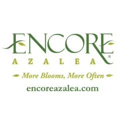 Autumn Embers® Encore® Azalea -Fast Growing Trees Shop Encore Logo 1000x1000 1adc0cf2 16e4 49a6 9093 928a385a7d6f