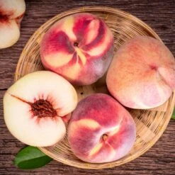 Indian Free White Peach Tree -Fast Growing Trees Shop Indian Free Peach 3 FGT