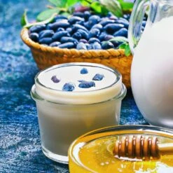 Indigo Gem Haskap (Honeyberry) -Fast Growing Trees Shop Indigo GEm Haskap 1