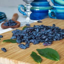 Indigo Treat Haskap (Honeyberry) -Fast Growing Trees Shop Indigo Treat Hascap 2 BB