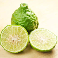 Kaffer 'Kieffer' Lime Tree -Fast Growing Trees Shop Kaffir Lime 7 FGT