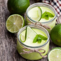 Key Lime Tree -Fast Growing Trees Shop Key Lime Tree 4 FGT