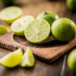 Key Lime Tree - USDA Organic -Fast Growing Trees Shop Key Lime Tree 5 FGT da9b0536 ead5 46ca b8b5 d82cfb777942