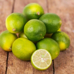 Limequat Citrus Tree -Fast Growing Trees Shop Limequat 4 FGT