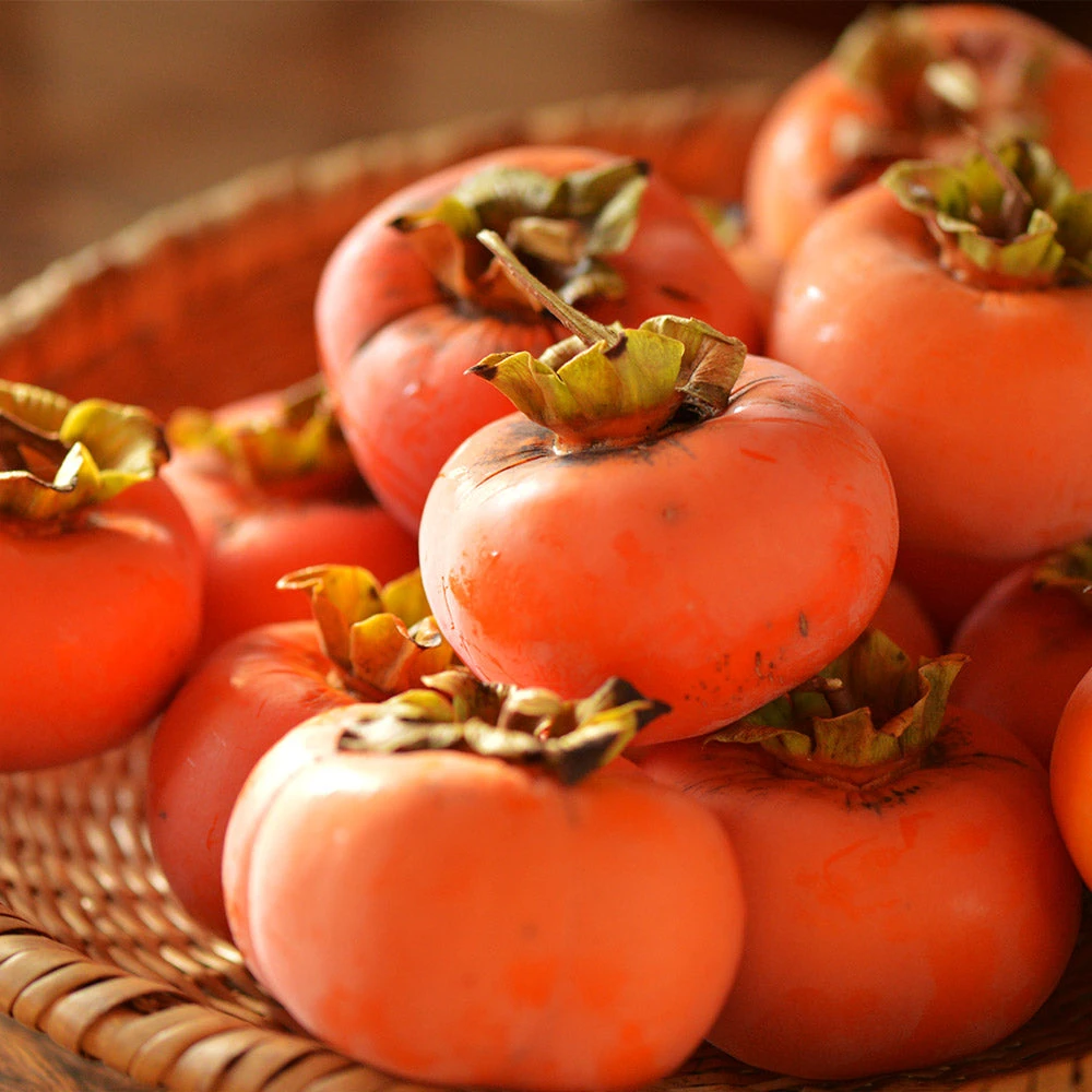 Weeping Persimmon 3 Weeping Persimmon - Image 3