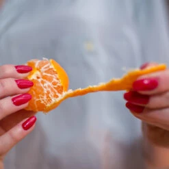 Nules Clementine Bush 6 Nules Clementine Bush -Fast Growing Trees Shop Nules Clementine 3 FGT 8b9abee7 a321 49f5 98c0 01db9061b5ac