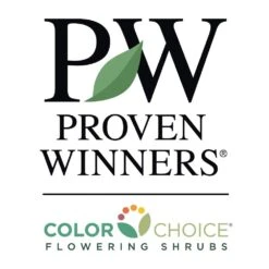 Limelight Hydrangea Shrub -Fast Growing Trees Shop PW Logo CC 1000x1000 2fdd8af6 4793 4afd 8ad0 d5cbb481ff17