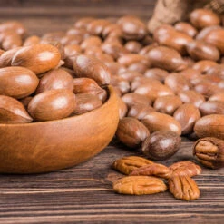 Pawnee Pecan Tree 7 Pawnee Pecan Tree -Fast Growing Trees Shop Pawnee Pecan 4 FGT