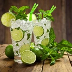 Persian 'Bearss' Lime Tree -Fast Growing Trees Shop Persian Lime Tree 4 FGT