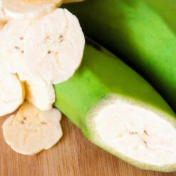 Puerto Rican Plantain Banana Tree -Fast Growing Trees Shop Puerto Rican Plantain Banana Tree 3