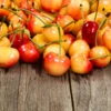 Rainier Cherry Tree 9 Rainier Cherry Tree -Fast Growing Trees Shop Rainier Cherry Tree FGT 600x600 1094475e 5dab 4191 8167 5c5a6519bb91