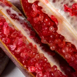 Red Finger Lime Tree 9 Red Finger Lime Tree -Fast Growing Trees Shop Red FInger Lime 1 1453b836 c1a1 4844 92f1 11e49d09cc4d