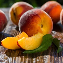 Red Baron Peach Tree -Fast Growing Trees Shop Red Baron Peach 4