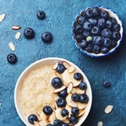 Reveille Blueberry Bush -Fast Growing Trees Shop Reville Blueberry 2