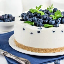 Sunshine Blue Blueberry Bush -Fast Growing Trees Shop SUnshine BLue Blueberry 4