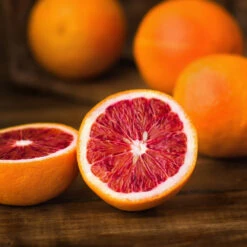 Sanguinelli Blood Orange Tree -Fast Growing Trees Shop Sanguinelli Blood Orange 1 FGT