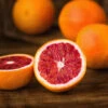 Sanguinelli Blood Orange Tree 9 Sanguinelli Blood Orange Tree -Fast Growing Trees Shop Sanguinelli Blood Orange FGT 600x600 7a7de938 a6c5 4521 84f8 c031e9f36cc2