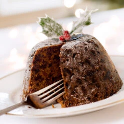 Satsuma Plum Tree -Fast Growing Trees Shop Satsuma Plum 4