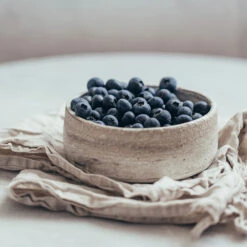 Sharpblue Blueberry Bush 5 Sharpblue Blueberry Bush -Fast Growing Trees Shop Sharpblue Blueberry 1