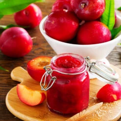 Superior Plum Tree -Fast Growing Trees Shop Superior Plum 1