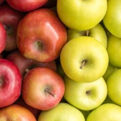 5-in-1 Apple Surprise Tree -Fast Growing Trees Shop Surprise Apple 1