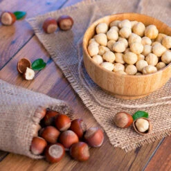 Theta Filbert Hazelnut 7 Theta Filbert Hazelnut -Fast Growing Trees Shop THeta FIlbert Hazelnut 4